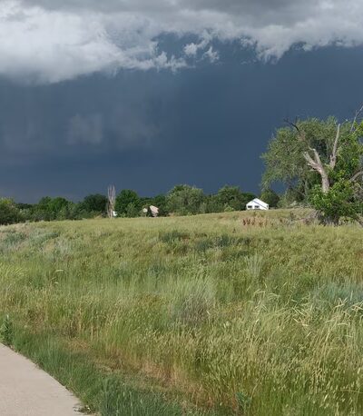 Foxshire Park - Westminster, CO