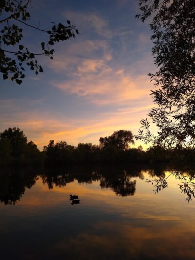 Foxshire Park - Westminster, CO