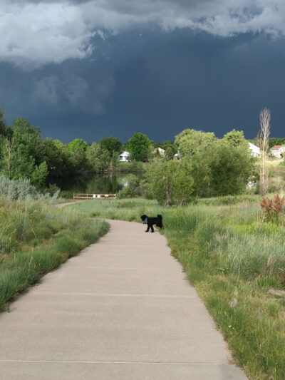 Foxshire Park - Westminster, CO