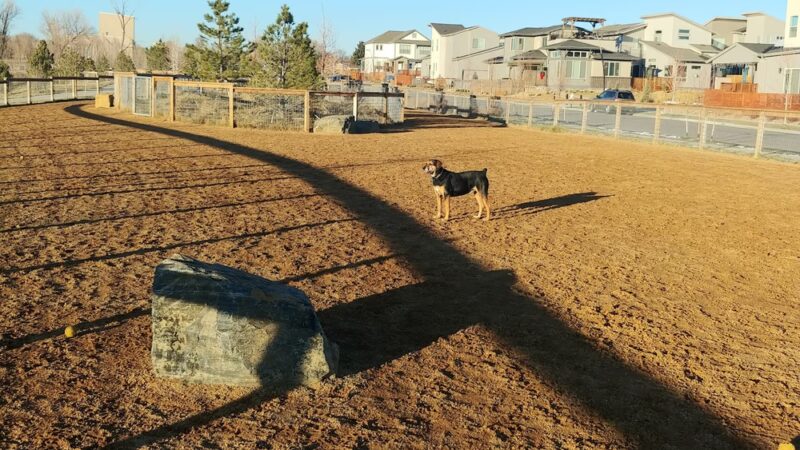 Midtown Dog Park (private) - Westminster, CO