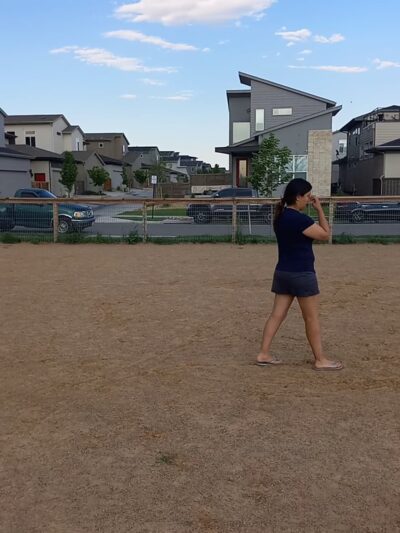 Midtown Dog Park (private) - Westminster, CO