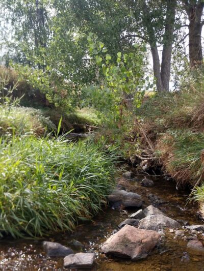 Sunset Park - Westminster, CO