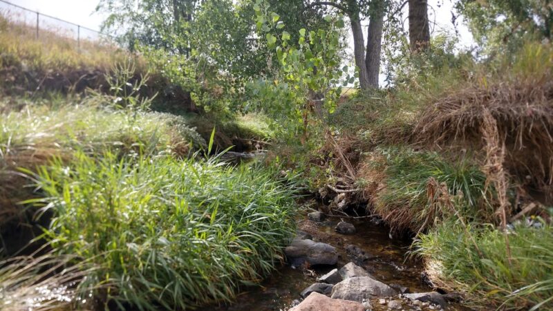 Sunset Park - Westminster, CO