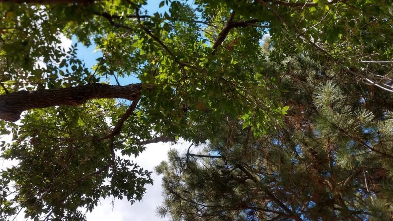 Sunset Park - Westminster, CO