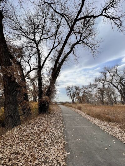 TeBockhorst Park (formerly known as Trendwood Park) - Westminster, CO