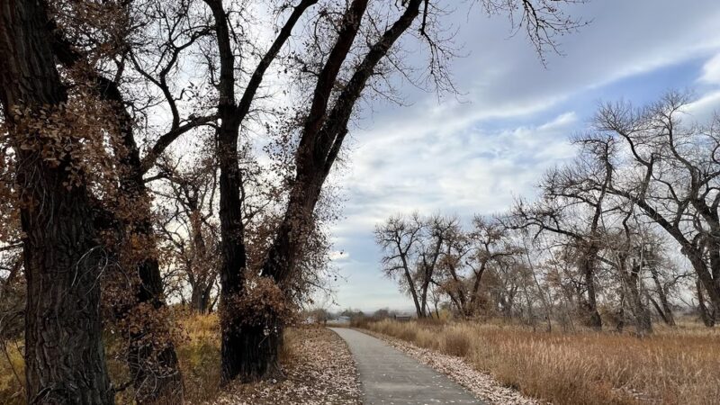 TeBockhorst Park (formerly known as Trendwood Park) - Westminster, CO