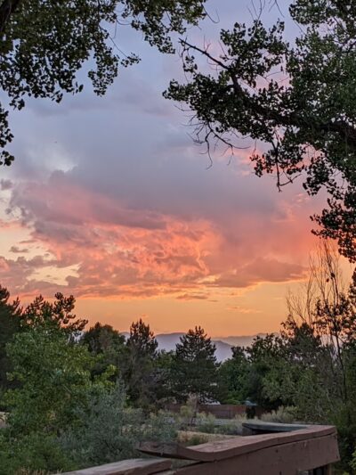 TeBockhorst Park (formerly known as Trendwood Park) - Westminster, CO