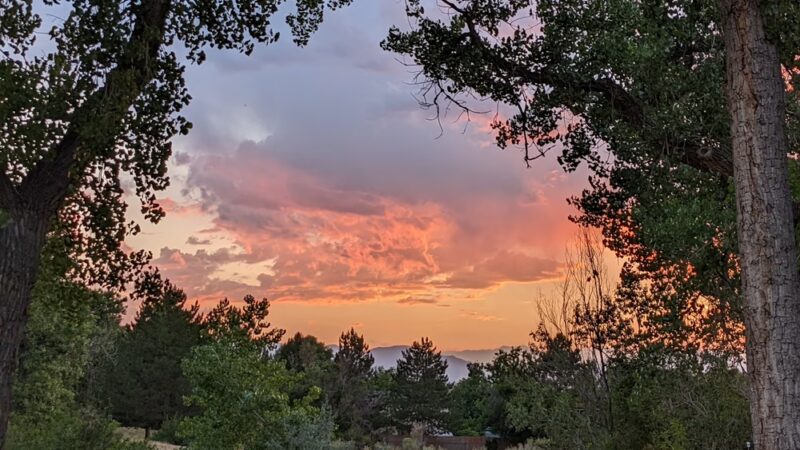 TeBockhorst Park (formerly known as Trendwood Park) - Westminster, CO
