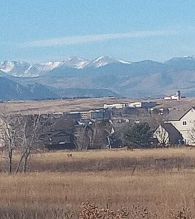 TeBockhorst Park (formerly known as Trendwood Park) - Westminster, CO