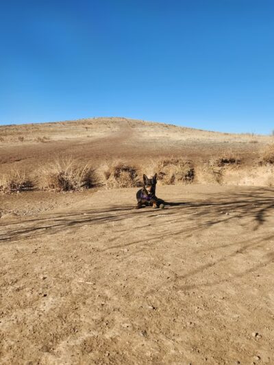 Westminster Hills Open Space Dog Park Parking Lot - Westminster, CO