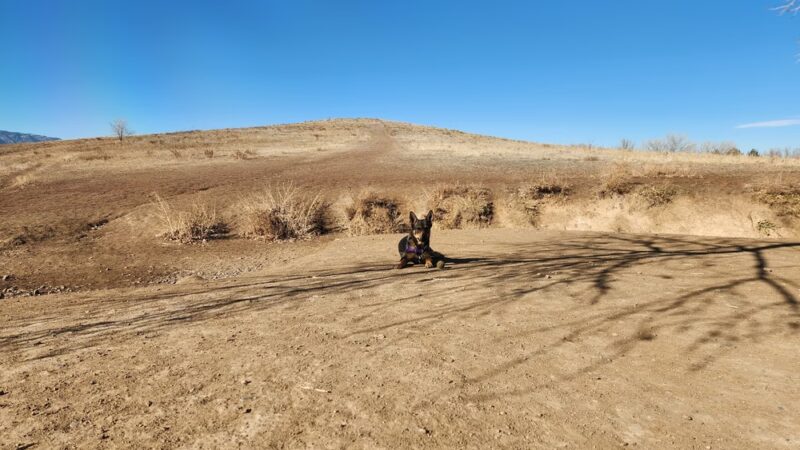 Westminster Hills Open Space Dog Park Parking Lot - Westminster, CO