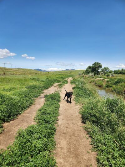 Westminster Hills Open Space Dog Park Parking Lot - Westminster, CO