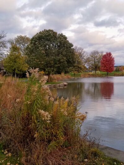 Diane Main Park - Westmont, IL