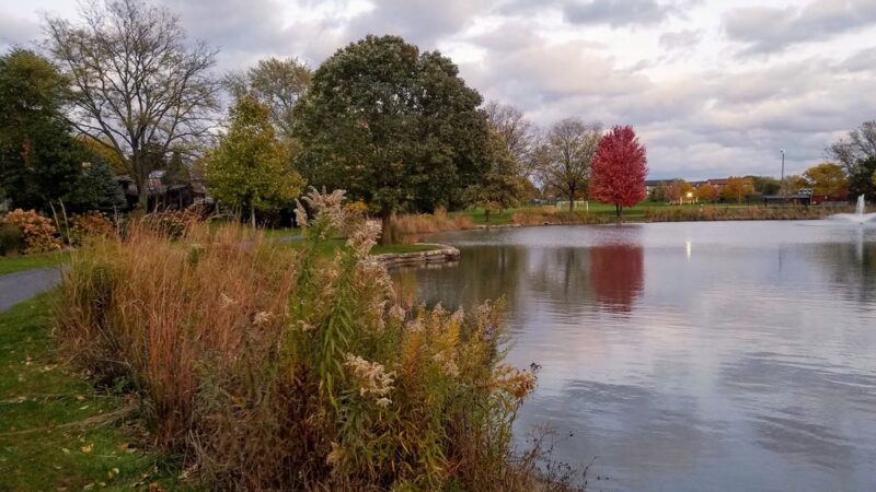 Diane Main Park - Westmont, IL