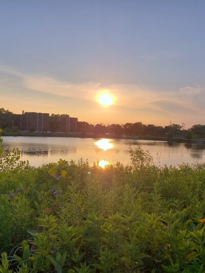 Diane Main Park - Westmont, IL