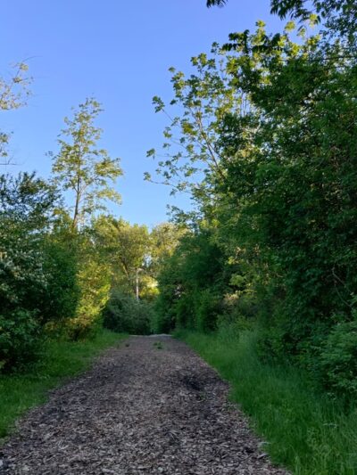 Smith Woods - Westmont, IL