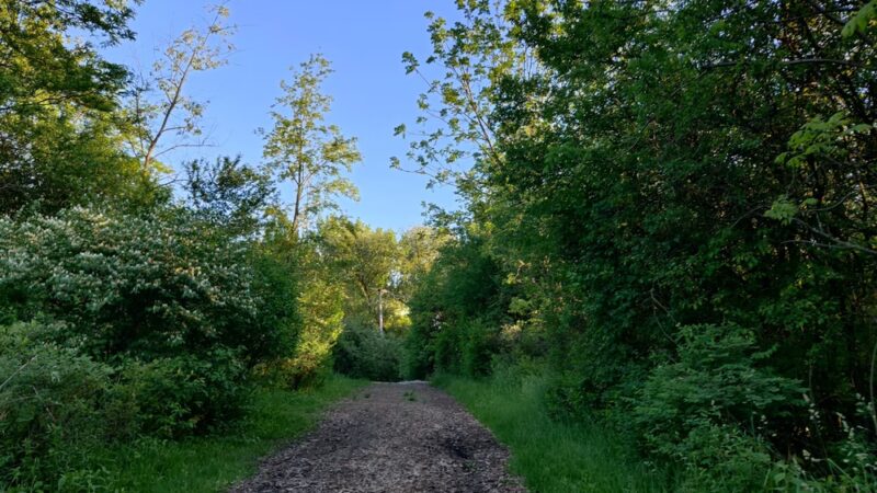 Smith Woods - Westmont, IL