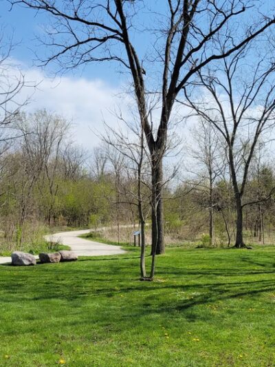 Smith Woods - Westmont, IL