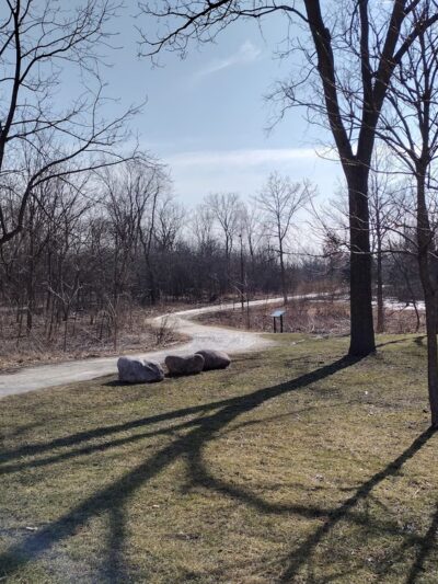 Smith Woods - Westmont, IL