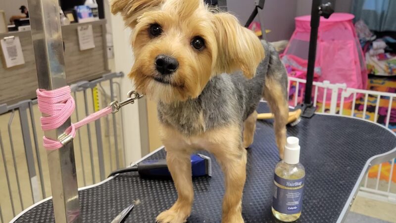 The Pampered Pup - Westmoreland, TN