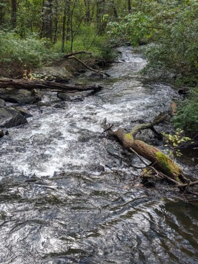 Cat Rock Park - Weston, MA