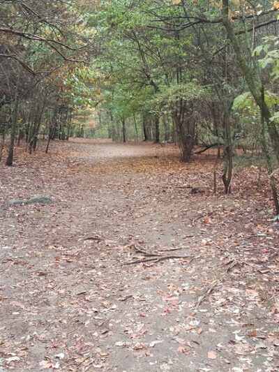 Cat Rock Park - Weston, MA