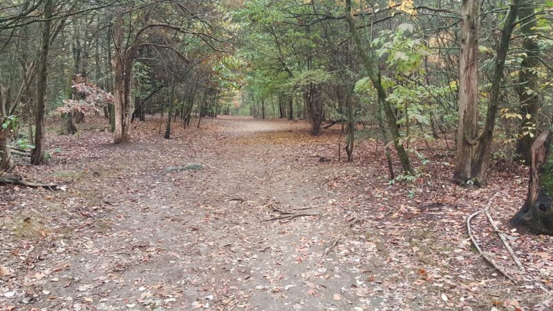 Cat Rock Park - Weston, MA