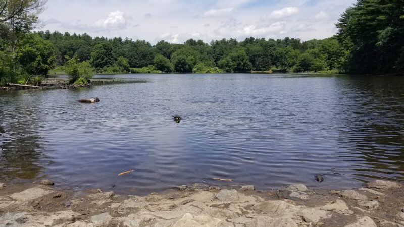 Cat Rock Park - Weston, MA