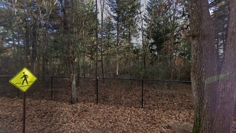 Weston Reservoir DogTrail - Parking - Weston, MA