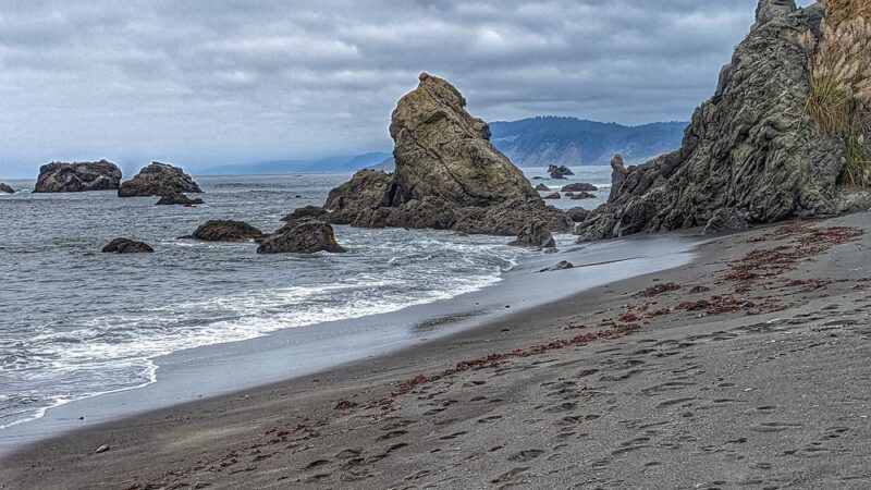Westport Headlands Park - Westport, CA