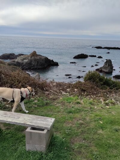 Westport Headlands Park - Westport, CA