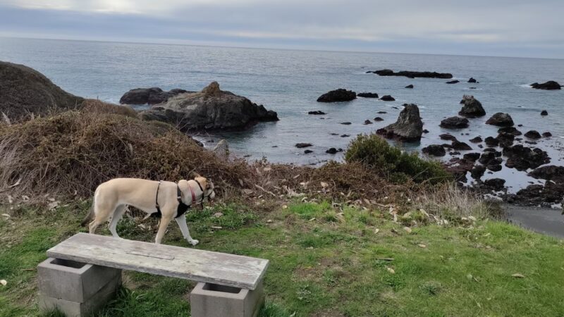 Westport Headlands Park - Westport, CA