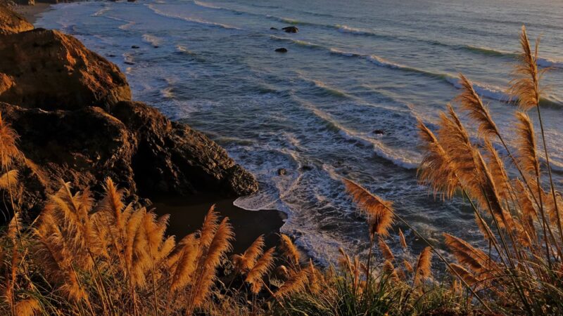 Westport-Union Landing State Beach - Westport, CA