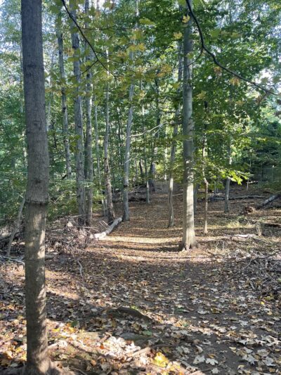 Aspetuck Land Trust: Haskins Preserve - Westport, CT