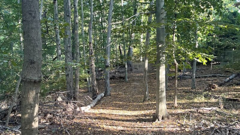 Aspetuck Land Trust: Haskins Preserve - Westport, CT