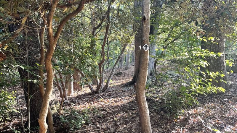 Aspetuck Land Trust: Haskins Preserve - Westport, CT