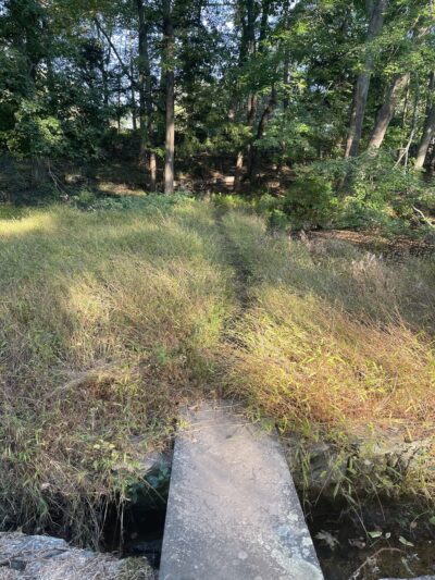 Aspetuck Land Trust: Haskins Preserve - Westport, CT