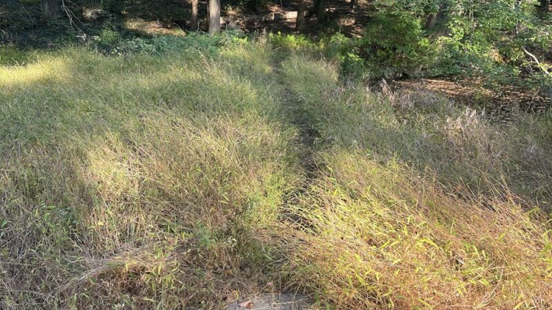 Aspetuck Land Trust: Haskins Preserve - Westport, CT