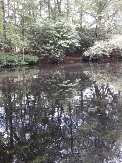 Aspetuck Land Trust: Haskins Preserve - Westport, CT