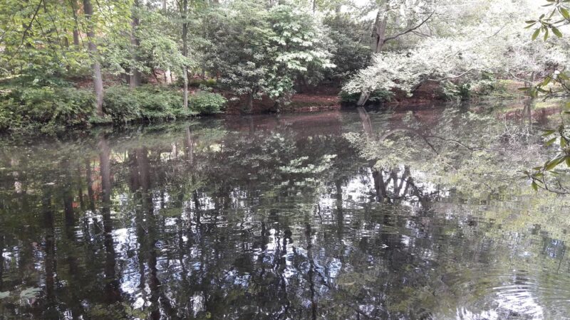 Aspetuck Land Trust: Haskins Preserve - Westport, CT