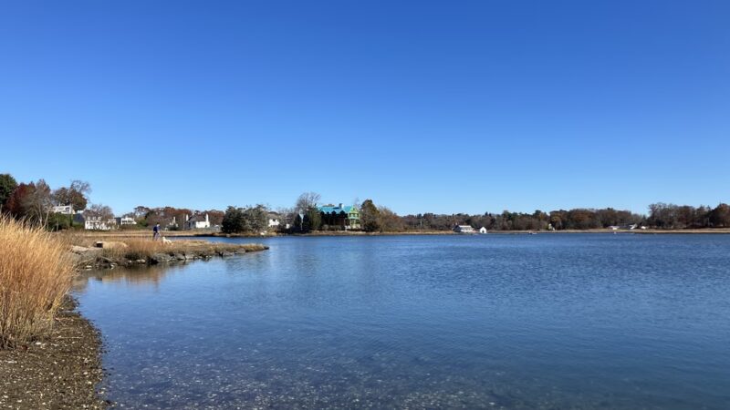 Mill Pond Preserve - Westport, CT