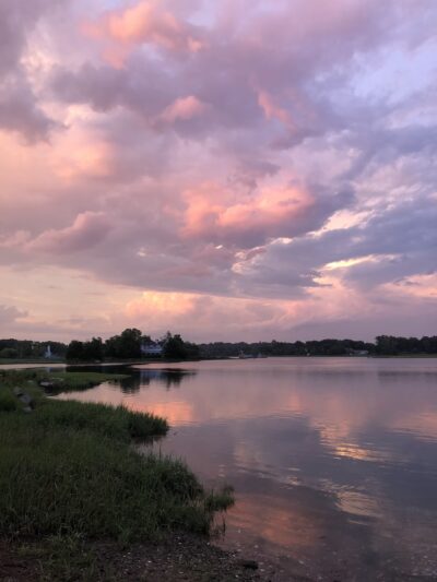Mill Pond Preserve - Westport, CT