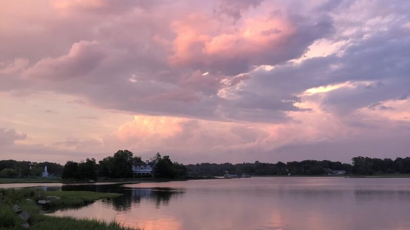Mill Pond Preserve - Westport, CT