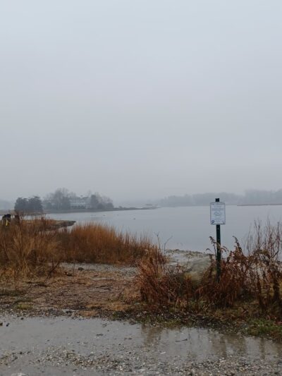 Mill Pond Preserve - Westport, CT