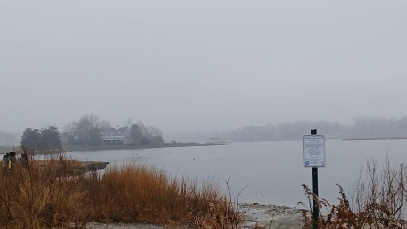 Mill Pond Preserve - Westport, CT