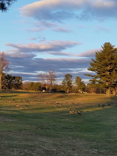Westport Longshore Club Park - Westport, CT