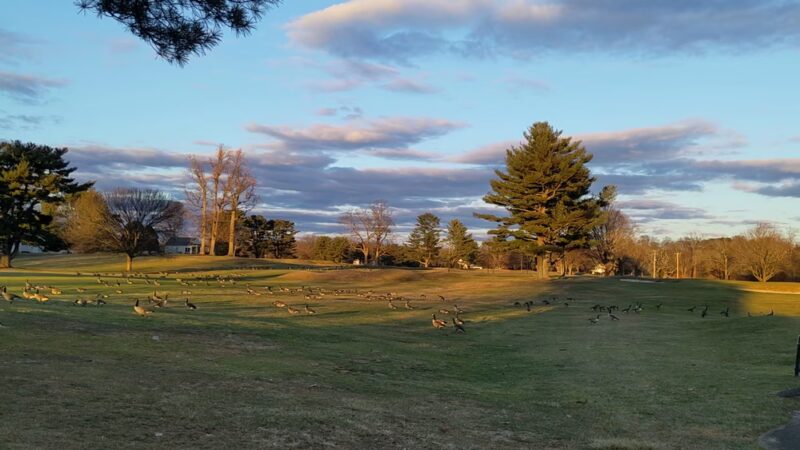 Westport Longshore Club Park - Westport, CT