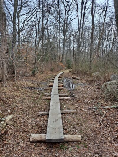 Westport Woods Conservation Park - Westport, MA