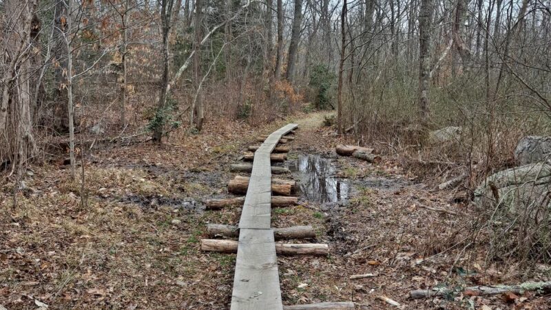 Westport Woods Conservation Park - Westport, MA