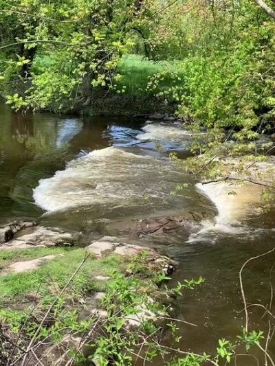 Winding Waters Trail - Westtown, NY